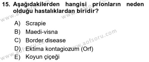 Viroloji Dersi 2021 - 2022 Yılı Yaz Okulu Sınavı 15. Soru