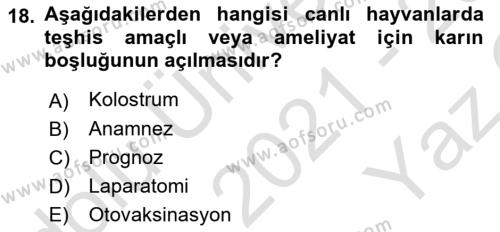 Viroloji Dersi 2021 - 2022 Yılı Yaz Okulu Sınavı 18. Soru