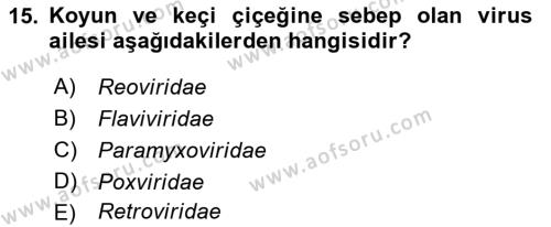 Viroloji Dersi 2022 - 2023 Yılı Yaz Okulu Sınavı 15. Soru