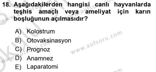 Viroloji Dersi 2022 - 2023 Yılı Yaz Okulu Sınavı 18. Soru