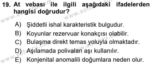 Viroloji Dersi 2022 - 2023 Yılı Yaz Okulu Sınavı 19. Soru