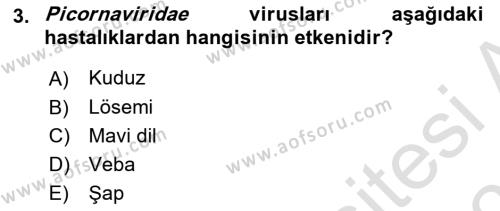 Viroloji Dersi 2022 - 2023 Yılı Yaz Okulu Sınavı 3. Soru