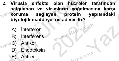 Viroloji Dersi 2022 - 2023 Yılı Yaz Okulu Sınavı 4. Soru