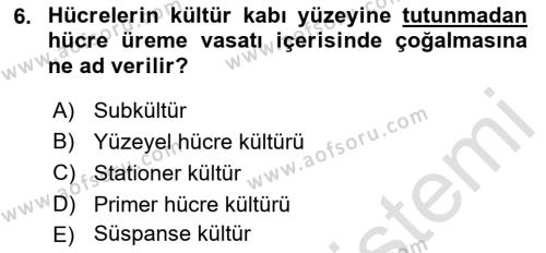 Viroloji Dersi 2022 - 2023 Yılı Yaz Okulu Sınavı 6. Soru