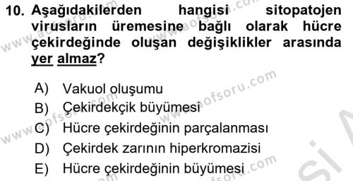 Viroloji Dersi 2023 - 2024 Yılı (Vize) Ara Sınavı 10. Soru