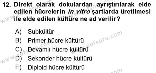 Viroloji Dersi 2023 - 2024 Yılı (Vize) Ara Sınavı 12. Soru