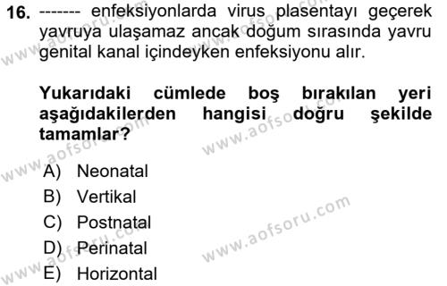 Viroloji Dersi 2023 - 2024 Yılı (Vize) Ara Sınavı 16. Soru