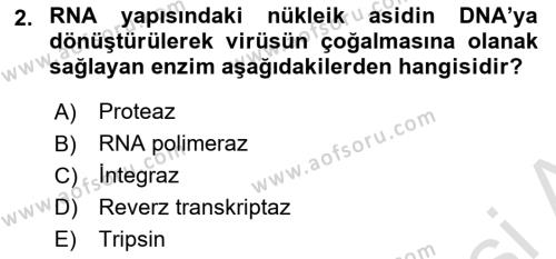 Viroloji Dersi 2023 - 2024 Yılı (Vize) Ara Sınavı 2. Soru