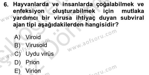 Viroloji Dersi 2023 - 2024 Yılı (Vize) Ara Sınavı 6. Soru