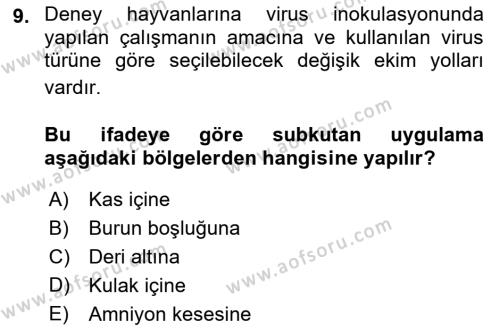 Viroloji Dersi 2023 - 2024 Yılı (Vize) Ara Sınavı 9. Soru