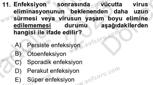 Viroloji Dersi 2023 - 2024 Yılı (Final) Dönem Sonu Sınavı 11. Soru