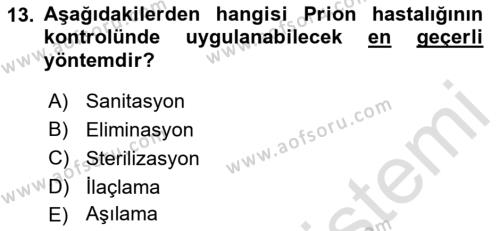 Viroloji Dersi 2023 - 2024 Yılı (Final) Dönem Sonu Sınavı 13. Soru