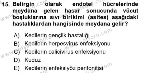 Viroloji Dersi 2023 - 2024 Yılı (Final) Dönem Sonu Sınavı 15. Soru