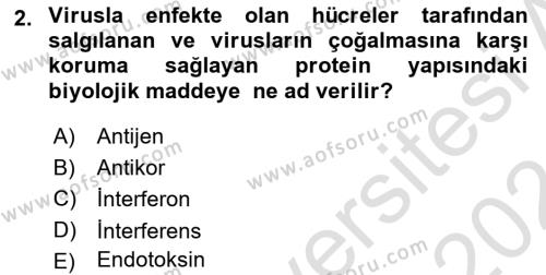 Viroloji Dersi 2023 - 2024 Yılı (Final) Dönem Sonu Sınavı 2. Soru