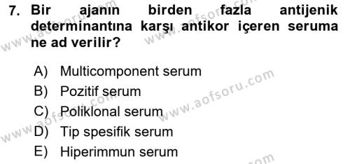 Viroloji Dersi 2023 - 2024 Yılı (Final) Dönem Sonu Sınavı 7. Soru