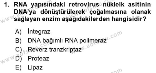 Viroloji Dersi 2023 - 2024 Yılı Yaz Okulu Sınavı 1. Soru