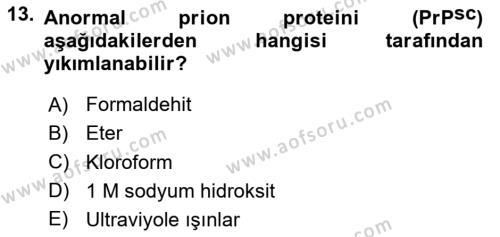 Viroloji Dersi 2023 - 2024 Yılı Yaz Okulu Sınavı 13. Soru