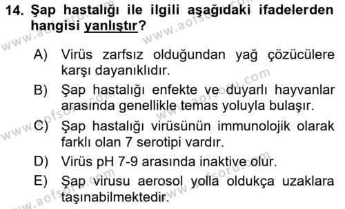 Viroloji Dersi 2023 - 2024 Yılı Yaz Okulu Sınavı 14. Soru