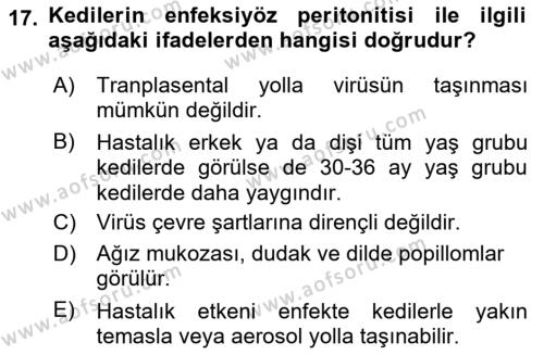 Viroloji Dersi 2023 - 2024 Yılı Yaz Okulu Sınavı 17. Soru