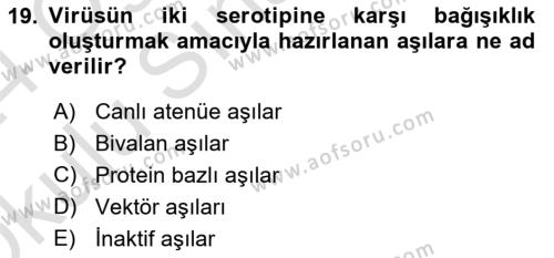 Viroloji Dersi 2023 - 2024 Yılı Yaz Okulu Sınavı 19. Soru