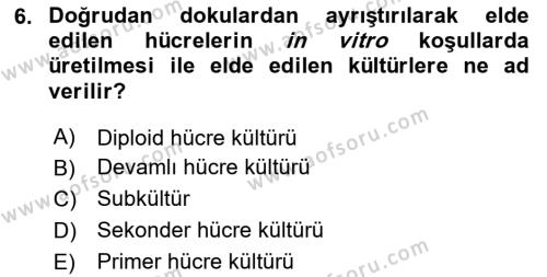 Viroloji Dersi 2023 - 2024 Yılı Yaz Okulu Sınavı 6. Soru