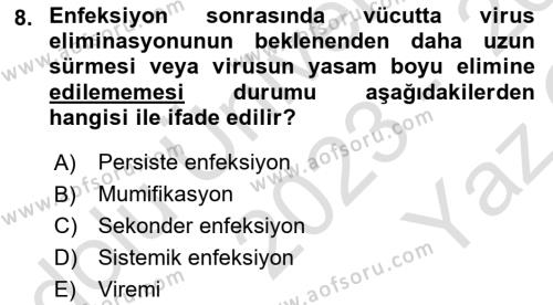 Viroloji Dersi 2023 - 2024 Yılı Yaz Okulu Sınavı 8. Soru