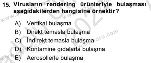 Viroloji Dersi 2024 - 2025 Yılı (Vize) Ara Sınavı 15. Soru