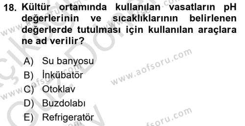 Viroloji Dersi 2024 - 2025 Yılı (Vize) Ara Sınavı 18. Soru