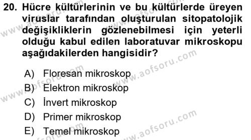 Viroloji Dersi 2024 - 2025 Yılı (Vize) Ara Sınavı 20. Soru