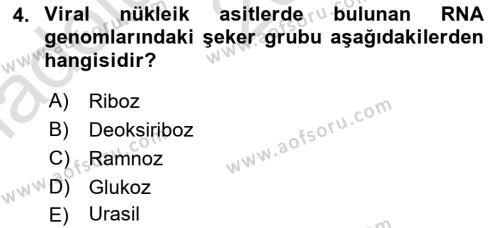 Viroloji Dersi 2024 - 2025 Yılı (Vize) Ara Sınavı 4. Soru