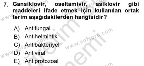 Viroloji Dersi 2024 - 2025 Yılı (Vize) Ara Sınavı 7. Soru