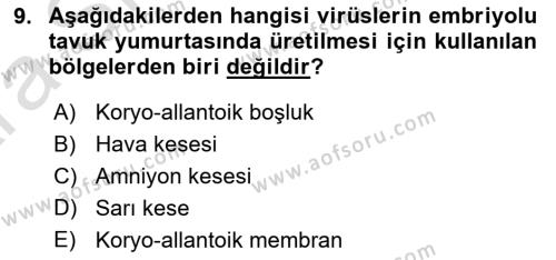 Viroloji Dersi 2024 - 2025 Yılı (Vize) Ara Sınavı 9. Soru