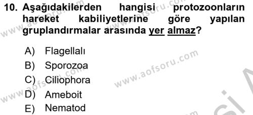 Gıda Güvenliğinin Temel Prensipleri Dersi 2018 - 2019 Yılı Yaz Okulu Sınavı 10. Soru