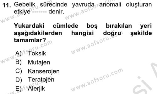 Gıda Güvenliğinin Temel Prensipleri Dersi 2020 - 2021 Yılı Yaz Okulu Sınavı 11. Soru