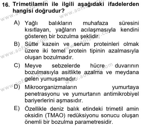 Gıda Güvenliğinin Temel Prensipleri Dersi 2020 - 2021 Yılı Yaz Okulu Sınavı 16. Soru