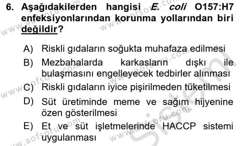 Gıda Güvenliğinin Temel Prensipleri Dersi 2020 - 2021 Yılı Yaz Okulu Sınavı 6. Soru