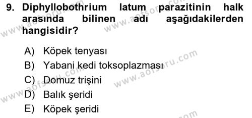 Gıda Güvenliğinin Temel Prensipleri Dersi 2020 - 2021 Yılı Yaz Okulu Sınavı 9. Soru