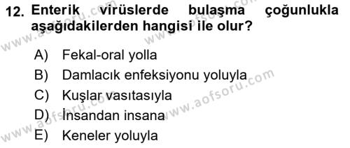 Gıda Güvenliğinin Temel Prensipleri Dersi 2023 - 2024 Yılı (Vize) Ara Sınavı 12. Soru