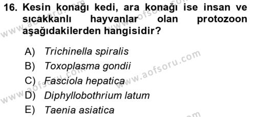 Gıda Güvenliğinin Temel Prensipleri Dersi 2023 - 2024 Yılı (Vize) Ara Sınavı 16. Soru