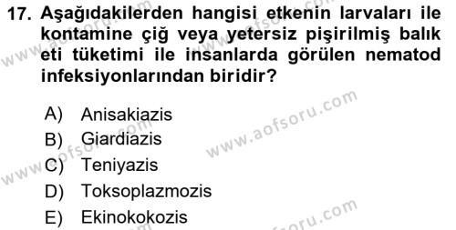 Gıda Güvenliğinin Temel Prensipleri Dersi 2023 - 2024 Yılı (Vize) Ara Sınavı 17. Soru