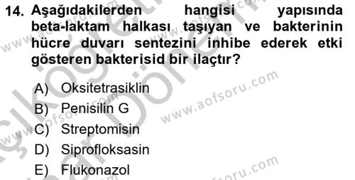 Temel İlaç Bilgisi Ve Akılcı İlaç Kullanımı Dersi 2016 - 2017 Yılı (Vize) Ara Sınavı 14. Soru