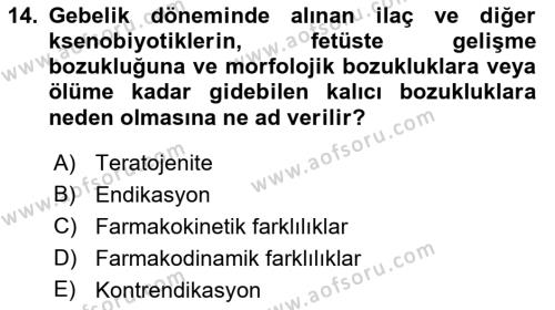 Temel İlaç Bilgisi Ve Akılcı İlaç Kullanımı Dersi 2018 - 2019 Yılı 3 Ders Sınavı 14. Soru