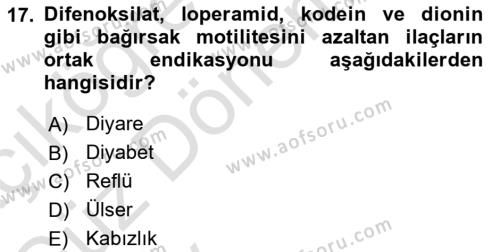 Temel İlaç Bilgisi Ve Akılcı İlaç Kullanımı Dersi 2024 - 2025 Yılı (Vize) Ara Sınavı 17. Soru