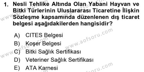 Dış Ticaret İşlemleri ve Belgeleri Dersi 2021 - 2022 Yılı Yaz Okulu Sınavı 1. Soru