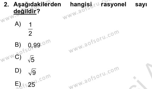 Matematik 1 Dersi 2024 - 2025 Yılı (Vize) Ara Sınavı 2. Soru