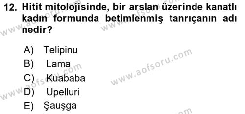 Mitoloji ve Din Dersi 2022 - 2023 Yılı (Vize) Ara Sınavı 12. Soru