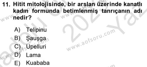 Mitoloji ve Din Dersi 2023 - 2024 Yılı Yaz Okulu Sınavı 11. Soru