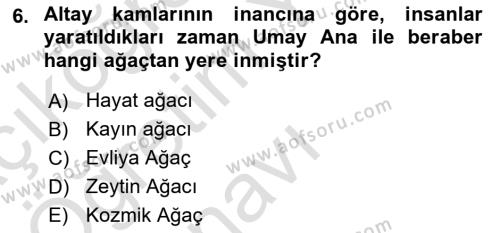 Mitoloji ve Din Dersi 2023 - 2024 Yılı Yaz Okulu Sınavı 6. Soru