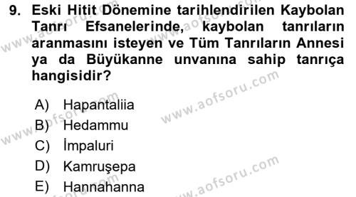 Mitoloji ve Din Dersi 2023 - 2024 Yılı Yaz Okulu Sınavı 9. Soru