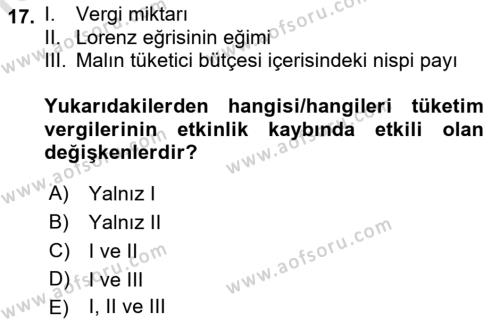 Vergi Teorisi Dersi 2022 - 2023 Yılı Yaz Okulu Sınavı 17. Soru